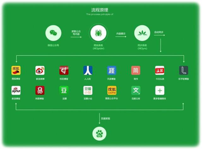 广告投放：新手指南